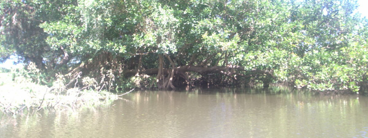 Nicaragua, Merida, Isla de Ometepe
